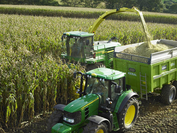 Agro-forestry Projects